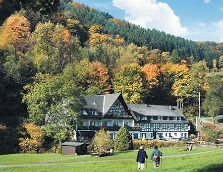 Tommes Gaestehaus Zur Muehle Шмаленберг Екстериор снимка