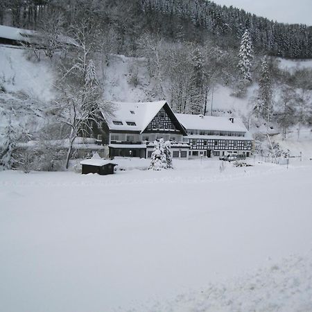Tommes Gaestehaus Zur Muehle Шмаленберг Екстериор снимка