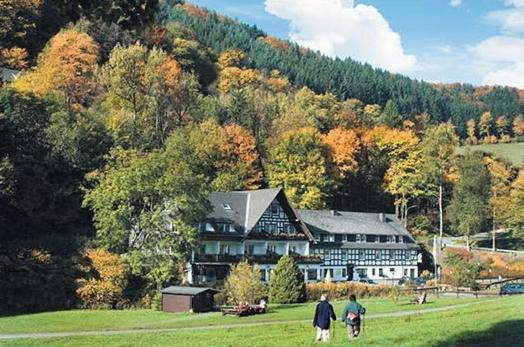 Tommes Gaestehaus Zur Muehle Шмаленберг Екстериор снимка