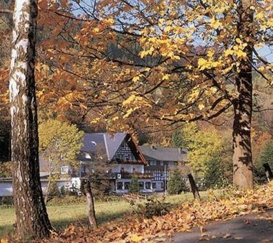 Tommes Gaestehaus Zur Muehle Шмаленберг Екстериор снимка